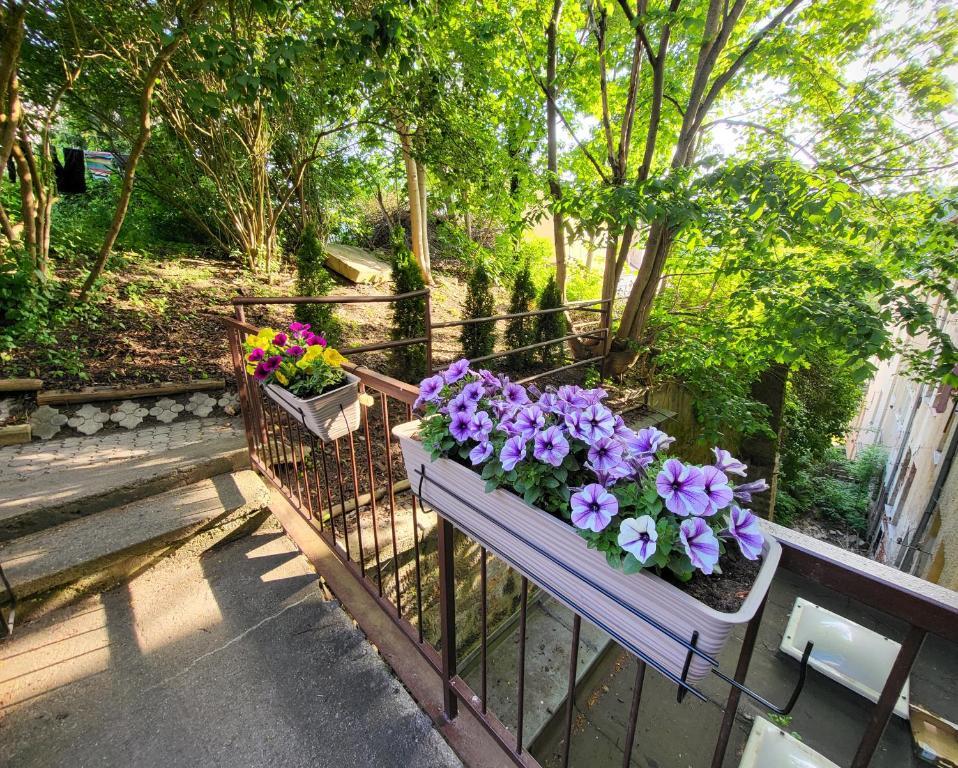 Excellent Apartments In Spa City Center 5 Min Walk From The Colonnade 카를로비바리 외부 사진